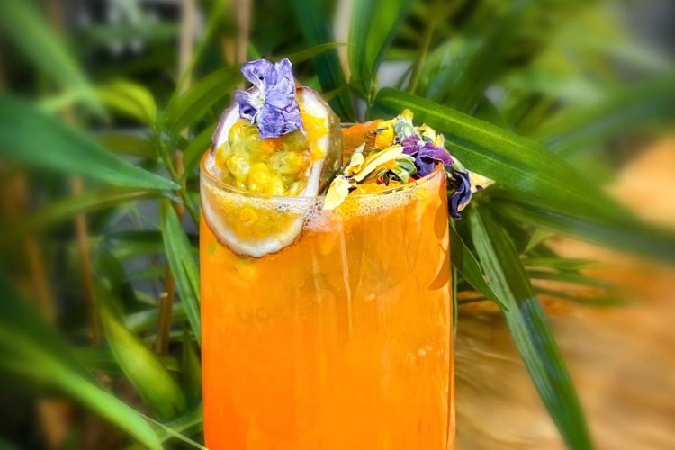 5d072ad7-fa47-440f-84f9-a75fff49f837